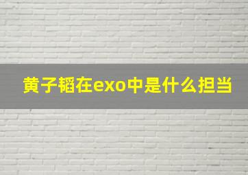 黄子韬在exo中是什么担当