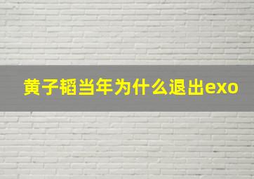 黄子韬当年为什么退出exo