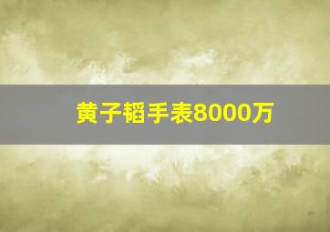 黄子韬手表8000万