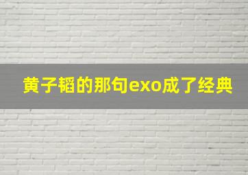 黄子韬的那句exo成了经典