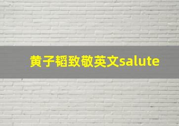 黄子韬致敬英文salute