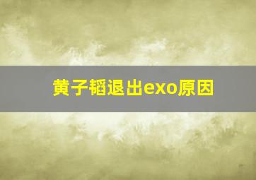 黄子韬退出exo原因