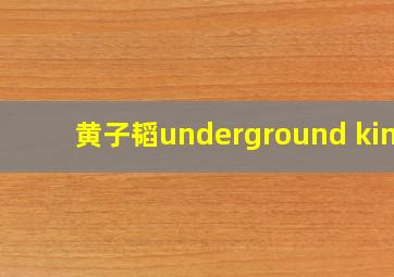 黄子韬underground king