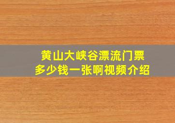 黄山大峡谷漂流门票多少钱一张啊视频介绍