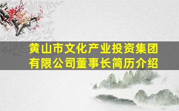 黄山市文化产业投资集团有限公司董事长简历介绍