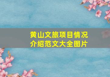 黄山文旅项目情况介绍范文大全图片