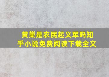 黄巢是农民起义军吗知乎小说免费阅读下载全文