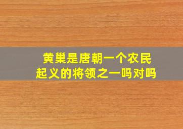 黄巢是唐朝一个农民起义的将领之一吗对吗