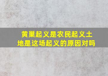 黄巢起义是农民起义土地是这场起义的原因对吗