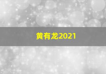 黄有龙2021