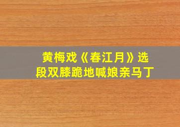 黄梅戏《春江月》选段双膝跪地喊娘亲马丁