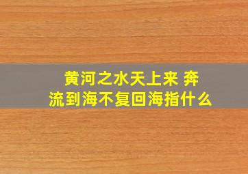 黄河之水天上来 奔流到海不复回海指什么