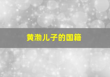 黄渤儿子的国籍