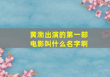 黄渤出演的第一部电影叫什么名字啊