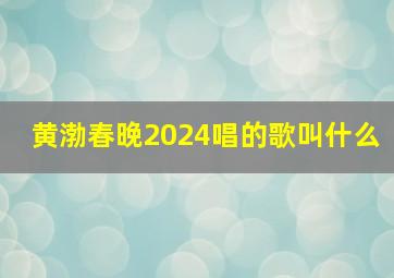 黄渤春晚2024唱的歌叫什么