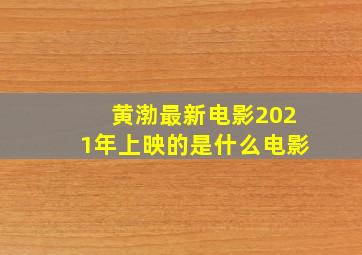 黄渤最新电影2021年上映的是什么电影