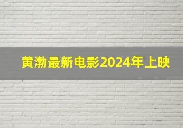 黄渤最新电影2024年上映