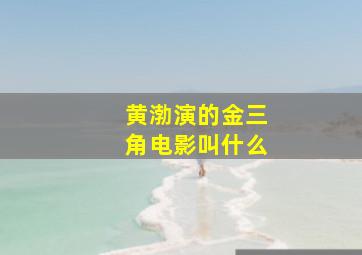 黄渤演的金三角电影叫什么