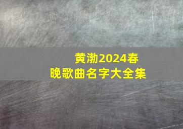 黄渤2024春晚歌曲名字大全集