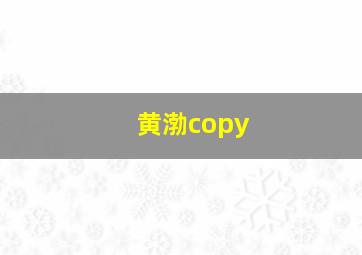 黄渤copy