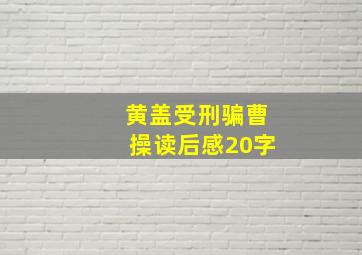 黄盖受刑骗曹操读后感20字