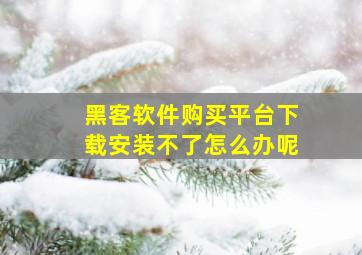 黑客软件购买平台下载安装不了怎么办呢