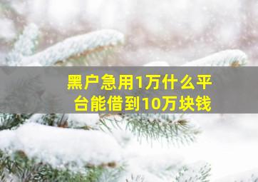 黑户急用1万什么平台能借到10万块钱