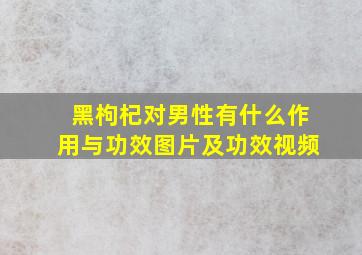 黑枸杞对男性有什么作用与功效图片及功效视频