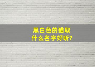 黑白色的猫取什么名字好听?