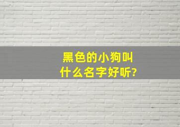 黑色的小狗叫什么名字好听?