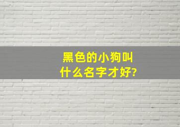 黑色的小狗叫什么名字才好?