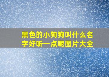 黑色的小狗狗叫什么名字好听一点呢图片大全