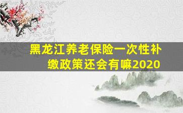 黑龙江养老保险一次性补缴政策还会有嘛2020