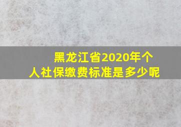 黑龙江省2020年个人社保缴费标准是多少呢