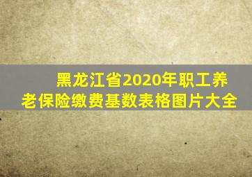 黑龙江省2020年职工养老保险缴费基数表格图片大全