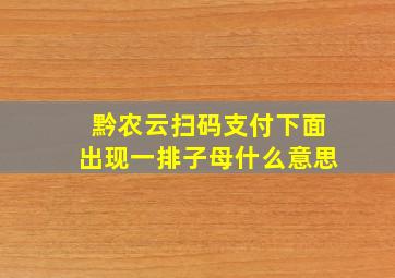 黔农云扫码支付下面出现一排子母什么意思