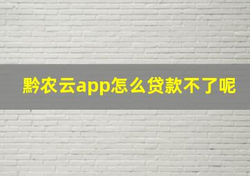 黔农云app怎么贷款不了呢