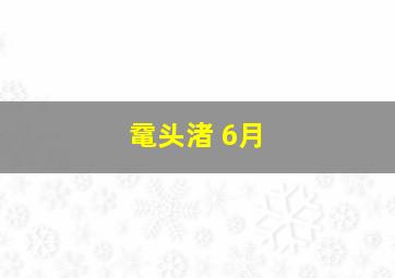 鼋头渚 6月