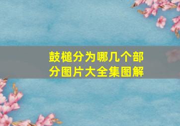 鼓槌分为哪几个部分图片大全集图解