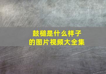 鼓槌是什么样子的图片视频大全集