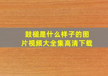 鼓槌是什么样子的图片视频大全集高清下载