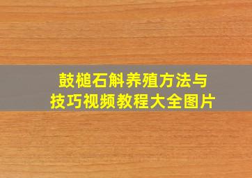 鼓槌石斛养殖方法与技巧视频教程大全图片