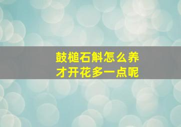 鼓槌石斛怎么养才开花多一点呢