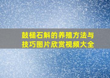 鼓槌石斛的养殖方法与技巧图片欣赏视频大全