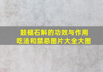 鼓槌石斛的功效与作用吃法和禁忌图片大全大图