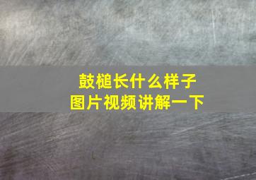 鼓槌长什么样子图片视频讲解一下