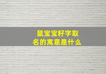 鼠宝宝籽字取名的寓意是什么