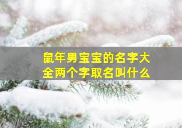 鼠年男宝宝的名字大全两个字取名叫什么