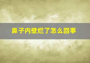 鼻子内壁烂了怎么回事