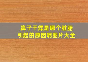 鼻子干燥是哪个脏腑引起的原因呢图片大全